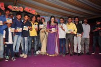 Dhanalakshmi Talupu Tadithey Movie Audio Launch